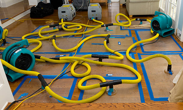 Professional Crawl Space Water Removal technician working in Southport, ME